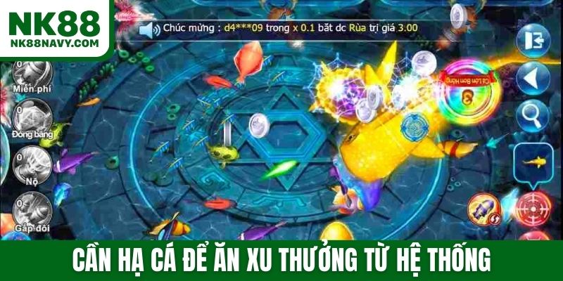 Cần hạ cá để ăn xu thưởng từ hệ thống